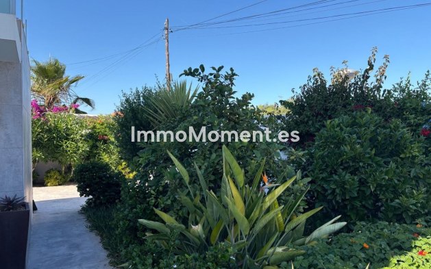 Revente - Villa individuelle - Torrevieja - Torrevieja Centro