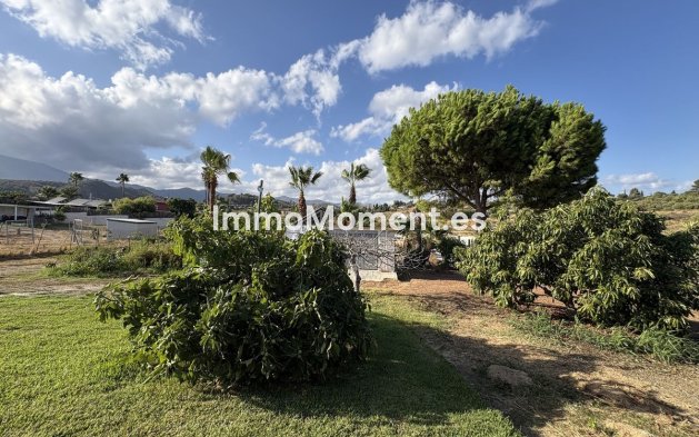 Bestaande woning - Landhuis - Estepona  - El Padron