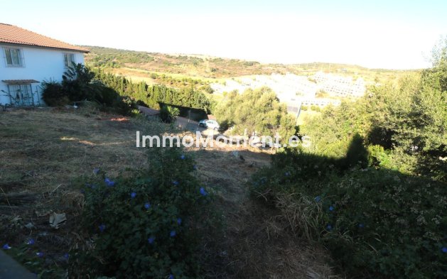 Reventa - Parcela - Estepona  - Estepona Centro