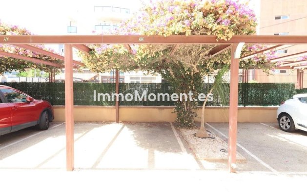 Reventa - Apartamento - Orihuela - La Regia