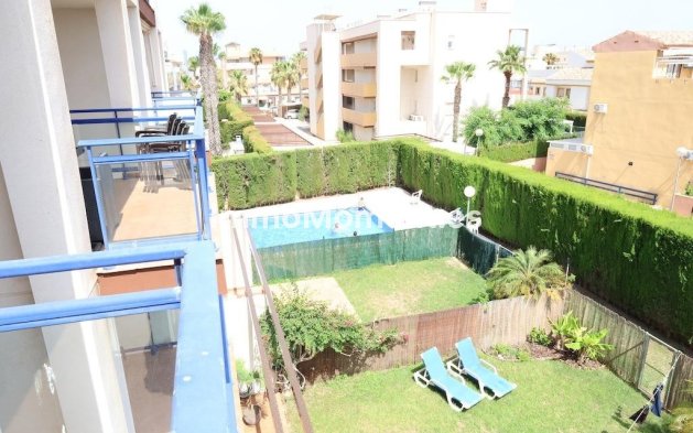 Reventa - Apartamento - Orihuela - La Regia