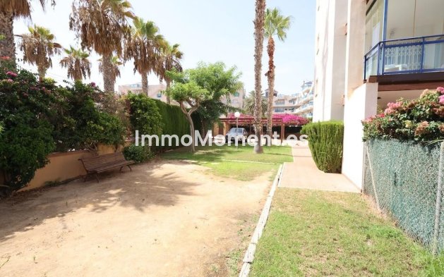 Reventa - Apartamento - Orihuela - La Regia