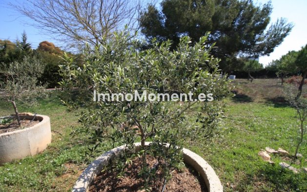 Resale - Detached villa - Orihuela - Orihuela Costa