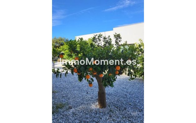 Resale - Detached villa - Orihuela - Orihuela Centro