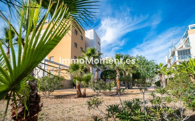Reventa - Apartamento - Orihuela - Los Dolses