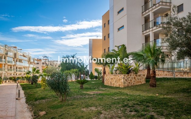Reventa - Apartamento - Orihuela - Los Dolses