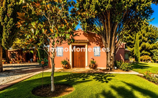 Wiederverkauf - Freistehende Villa - Marbella - Guadalmina Baja