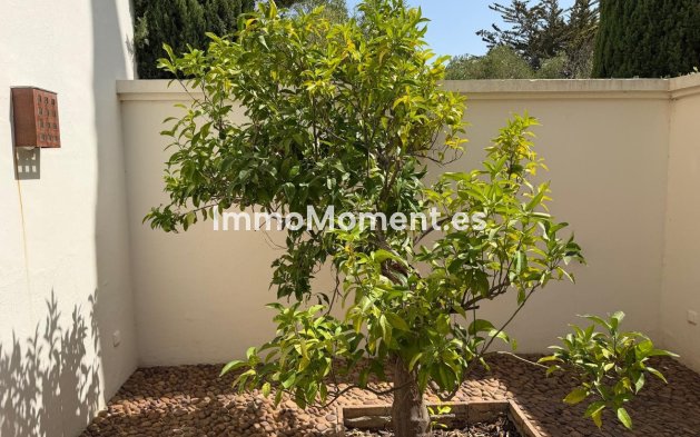 Bestaande woning - Vrijstaande villa - Sotogrande - Sotogrande Alto