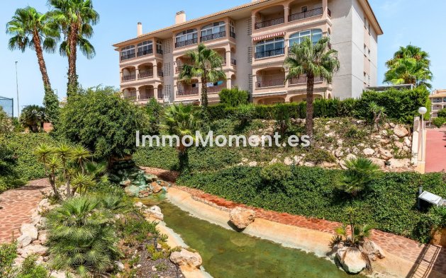 Revente - Appartement - Orihuela - Playa Flamenca