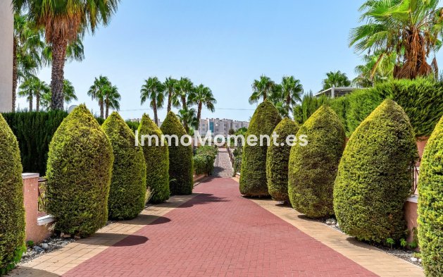 Revente - Appartement - Orihuela - Playa Flamenca