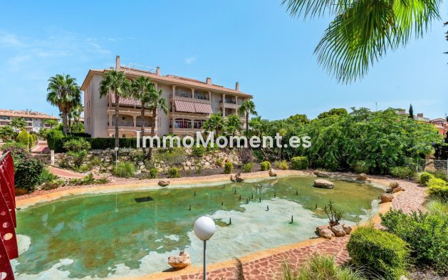 Revente - Appartement - Orihuela - Playa Flamenca