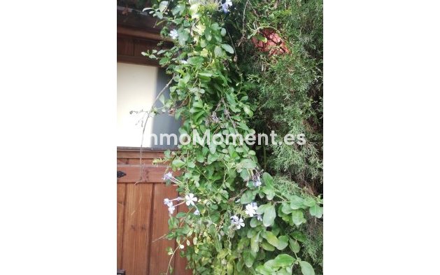 Revente - Maison de campagne - Intérieur                       - Monda