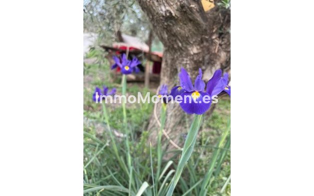 Revente - Maison de campagne - Intérieur                       - Monda