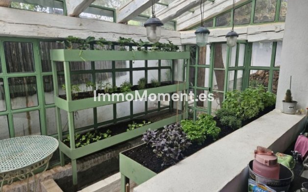 Revente - Villa individuelle - Marbella - Marbella Centro