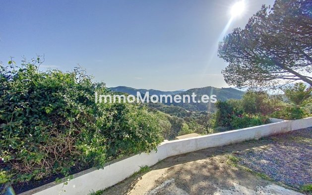 Reventa - Casa de campo - Interior  - Pizarra