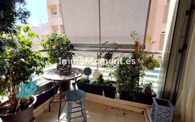 Reventa - Apartamento - Torrevieja - Torrevieja Centro