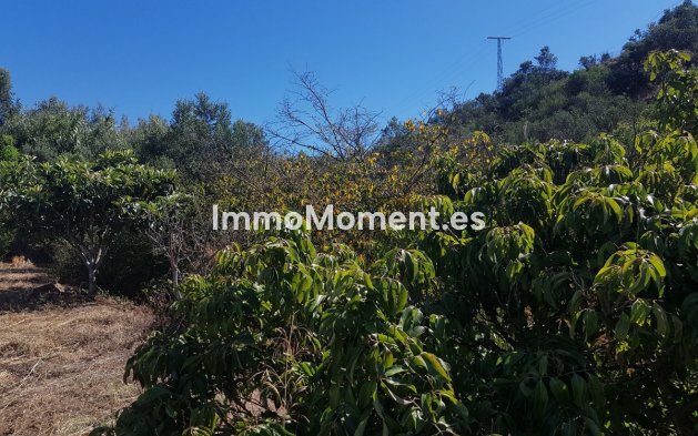 Resale - Country house - Estepona - Estepona Centro