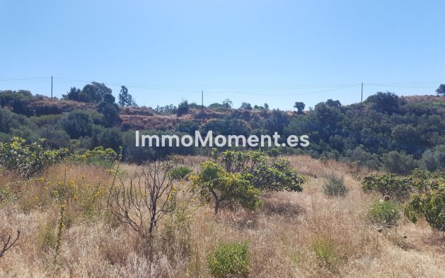 Resale - Country house - Estepona - Estepona Centro