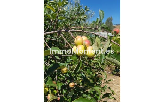 Resale - Country house - Estepona - Estepona Centro