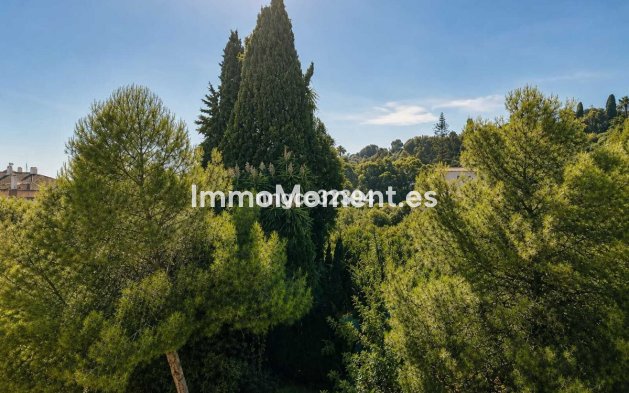 Resale - Apartment - Marbella - The Golden Mile