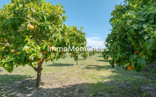Revente - Villa individuelle - Intérieur                       - Alhaurín el Grande Centro