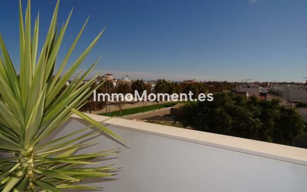 Construction neuve - High-bungalow - Pilar de la Horadada