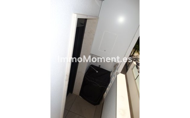 Construction neuve - High-bungalow - Pilar de la Horadada