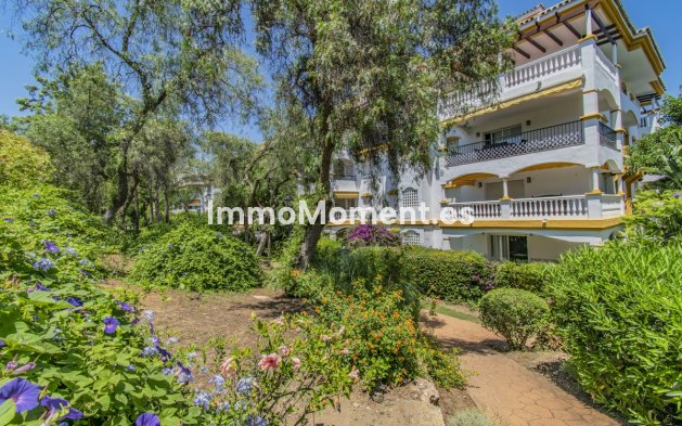 Revente - Appartement - Marbella - Nueva Andalucía