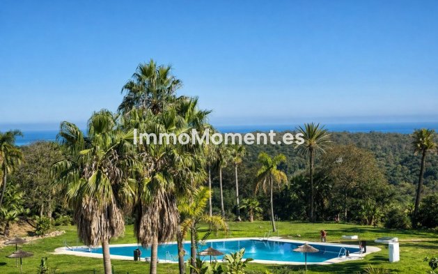 Reventa - Apartamento - Sotogrande - San Roque Club