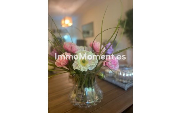 Long Term Rentals - Apartment - Guadalmina Baja - Marbella