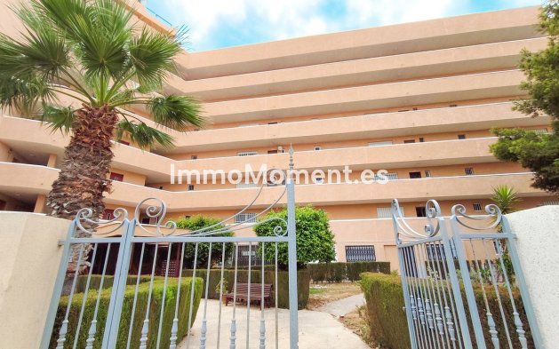 Bestaande woning - Appartement - Orihuela - Cabo roig - La Zenia