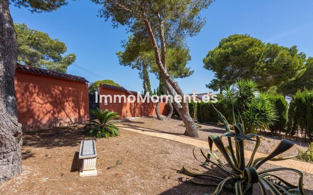 Revente - Villa individuelle - Torrevieja - Torrevieja Centro