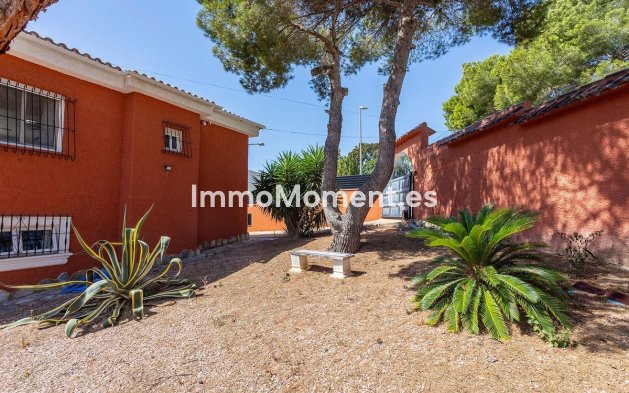 Revente - Villa individuelle - Torrevieja - Torrevieja Centro