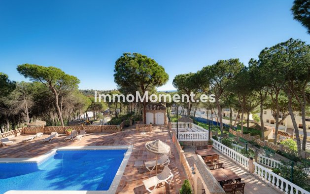 Bestaande woning - Appartement - Marbella - Nueva Andalucía