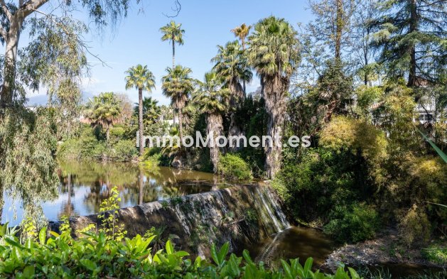 Revente - Appartement - Marbella - Nueva Andalucía
