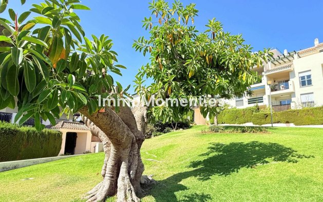 Reventa - Apartamento - Marbella - Marbella Centro