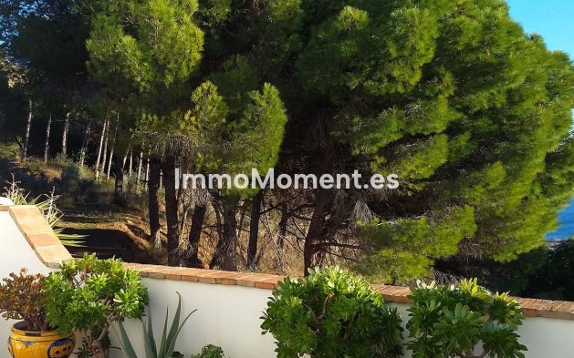 Wiederverkauf - Reihenhaus - Mijas - Mijas Centro