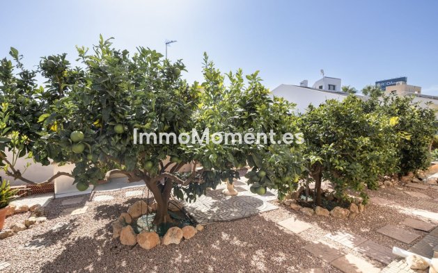 Reventa - Villa independiente - Orihuela - La Regia