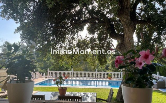 Reventa - Villa independiente - Marbella - Elviria