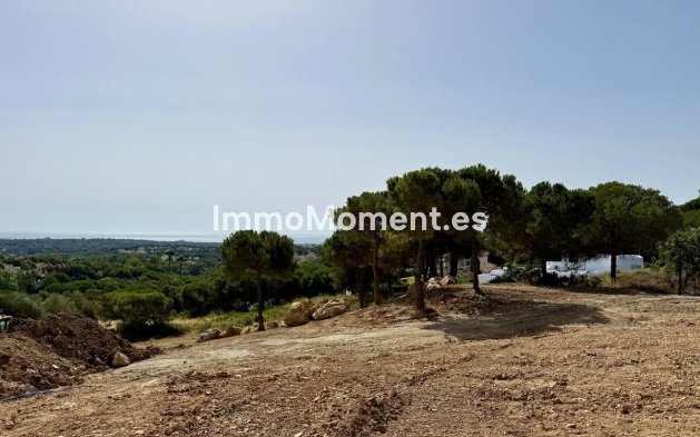 Revente - Parcelle - Sotogrande - Sotogrande Alto