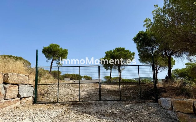 Revente - Parcelle - Sotogrande - Sotogrande Alto