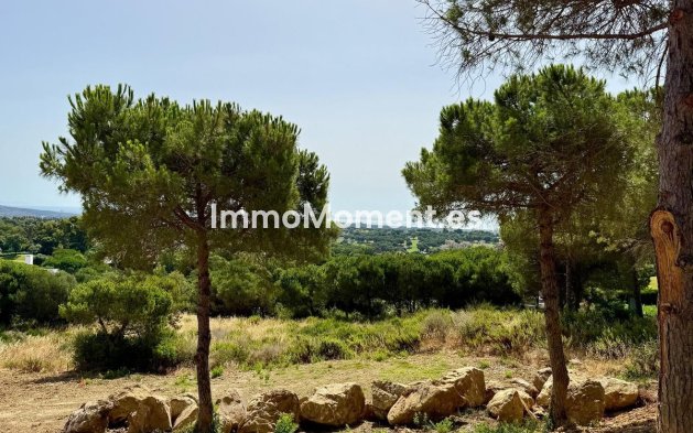 Revente - Parcelle - Sotogrande - Sotogrande Alto