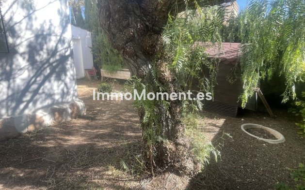 Bestaande woning - Vrijstaande villa - Orihuela - Cabo roig - La Zenia