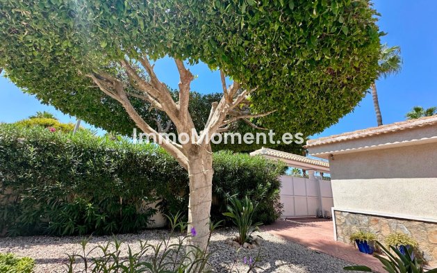Revente - Villa individuelle - Rojales - Ciudad Quesada