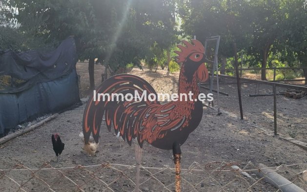 Reventa - Casa de campo - Interior  - Pizarra