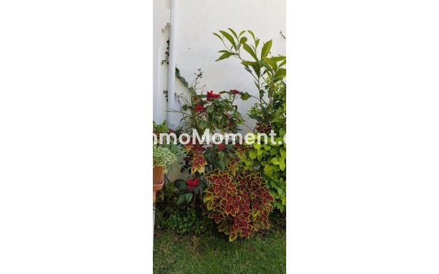 Reventa - Villa independiente - Estepona  - New Golden Mile