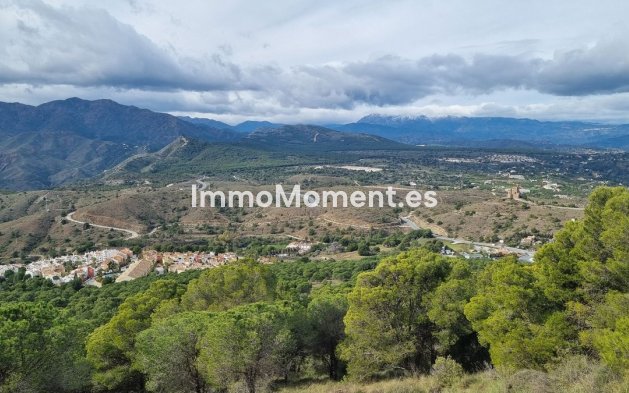 Revente - Maison mitoyenne - Intérieur                       - Alhaurín Golf