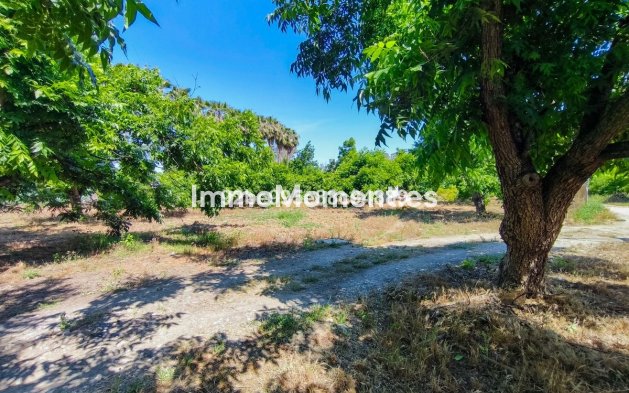 Reventa - Casa de campo - Interior  - Coín