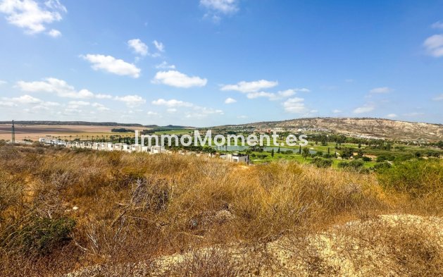 Bestaande woning - Rijtjeshuis - Algorfa - La Finca Golf