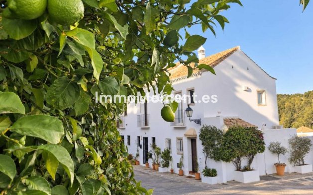 Revente - Villa individuelle - Marbella - Nueva Andalucía
